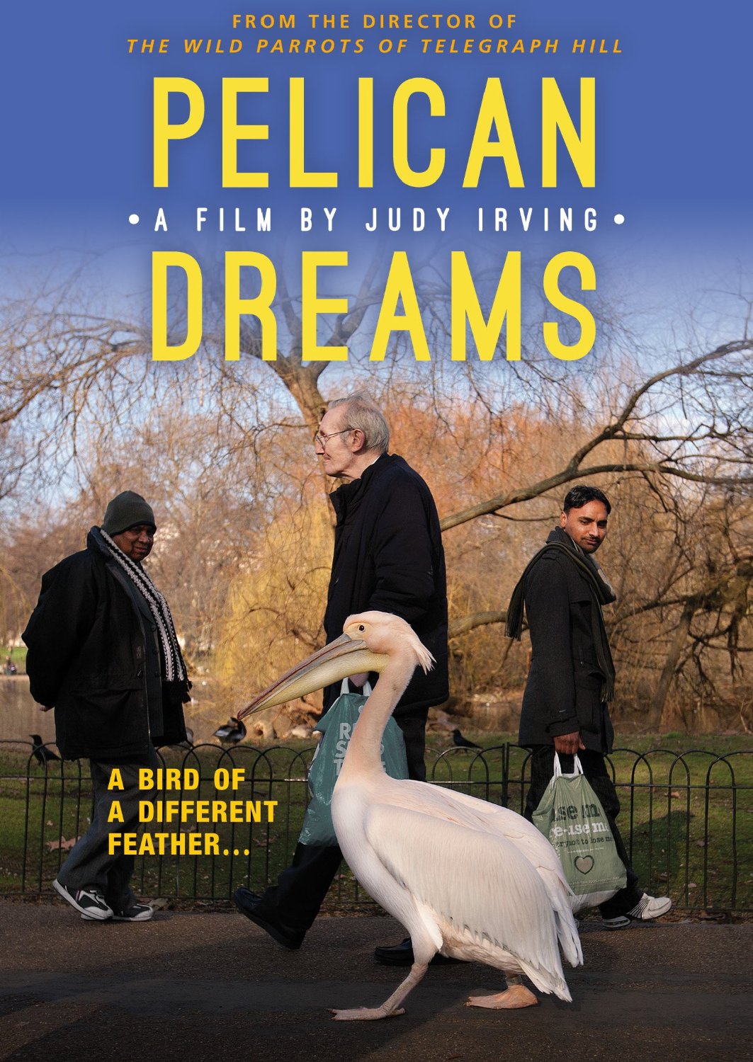 Pelican Dreams | Movie Roar